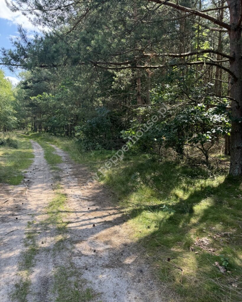 Działka na sprzedaż, pomorskie, Strzebielino - zdjęcie ofertowe nr 3