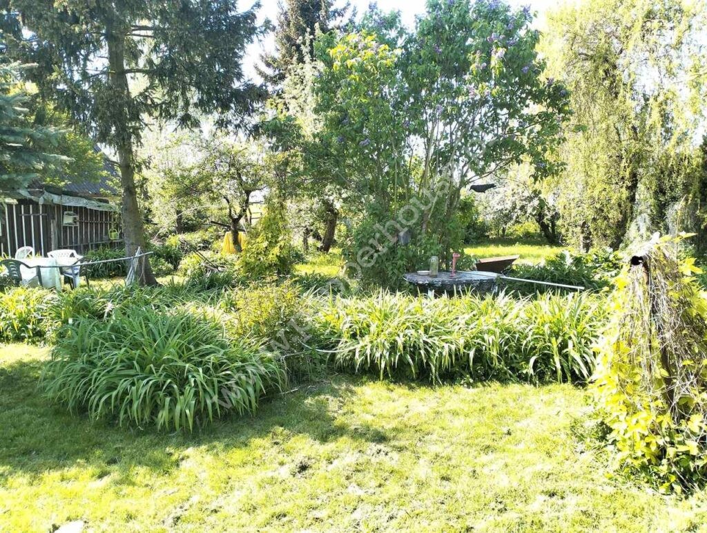 , pomorskie, Orłowo, Ogrodowa - listing photo no. 5