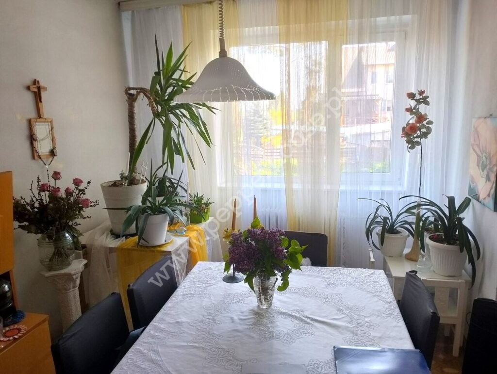 , pomorskie, Orłowo, Ogrodowa - listing photo no. 6