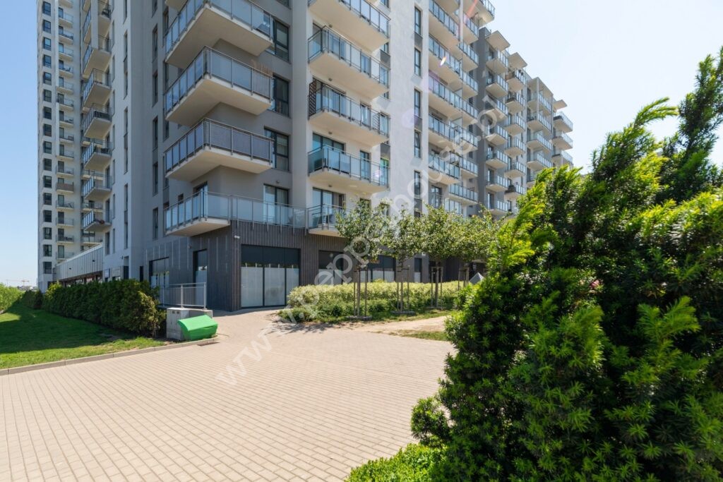 , Gdańsk, Morena, Stanisława Lema - listing photo no. 14