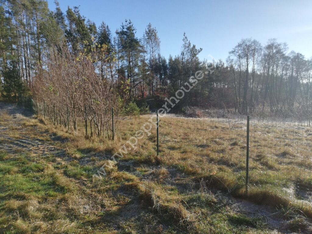 Działka na sprzedaż, pomorskie, Żakowo - zdjęcie ofertowe nr 3