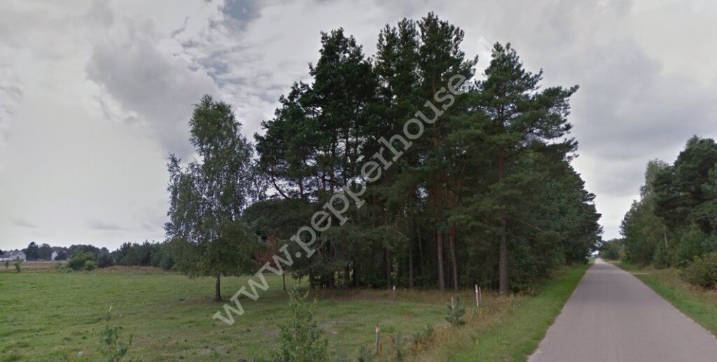 Działka na sprzedaż, mazowieckie, Brzozowa - zdjęcie ofertowe nr 2