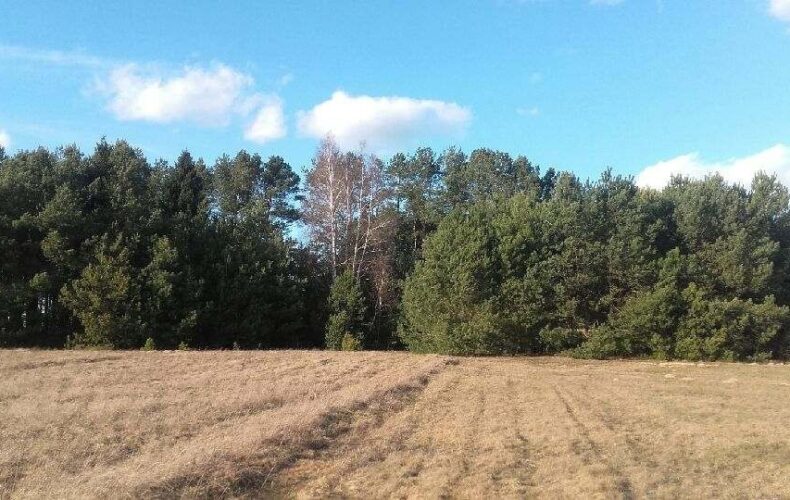Działka na sprzedaż, mazowieckie, Brzozowa