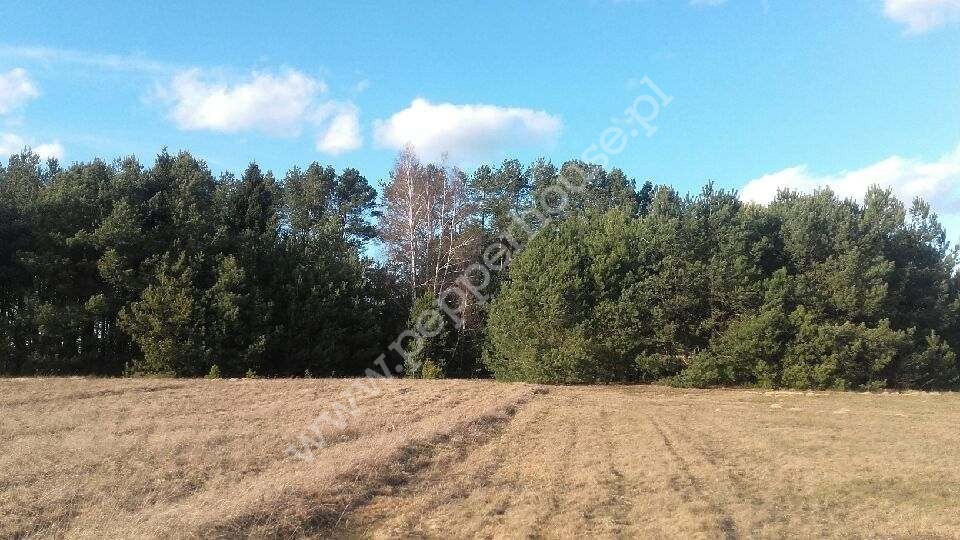 Działka na sprzedaż, mazowieckie, Brzozowa - zdjęcie ofertowe nr 1