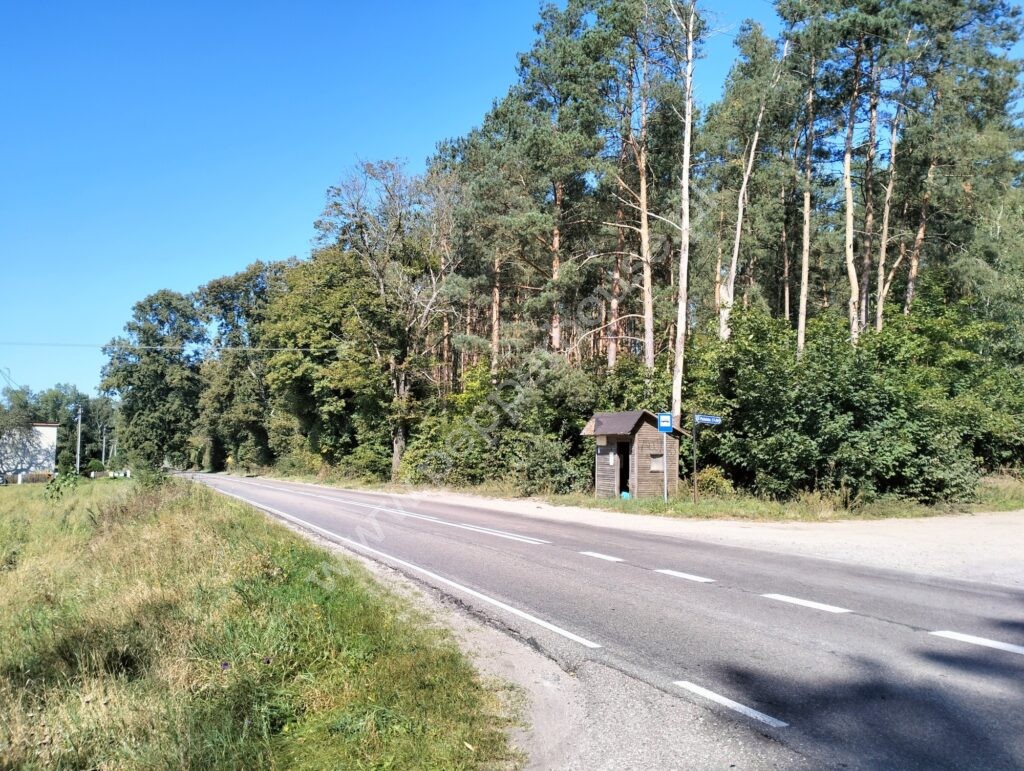 , pomorskie, Pałubin - listing photo no. 6