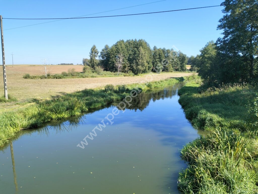 , pomorskie, Pałubin - listing photo no. 7