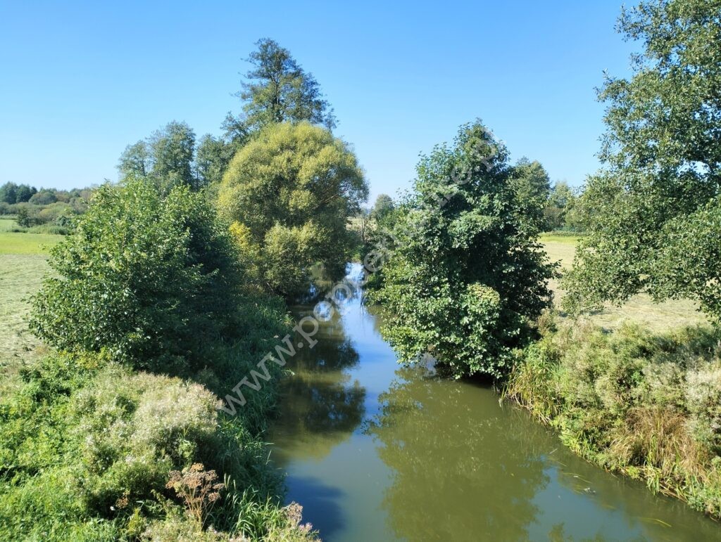 , pomorskie, Pałubin - listing photo no. 8