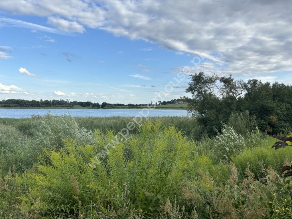 Działka na sprzedaż, kujawsko-pomorskie, Mąkoszyn - zdjęcie ofertowe nr 6