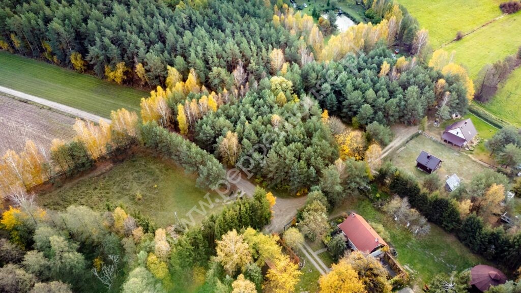 Działka na sprzedaż, pomorskie, Pałubin - zdjęcie ofertowe nr 5