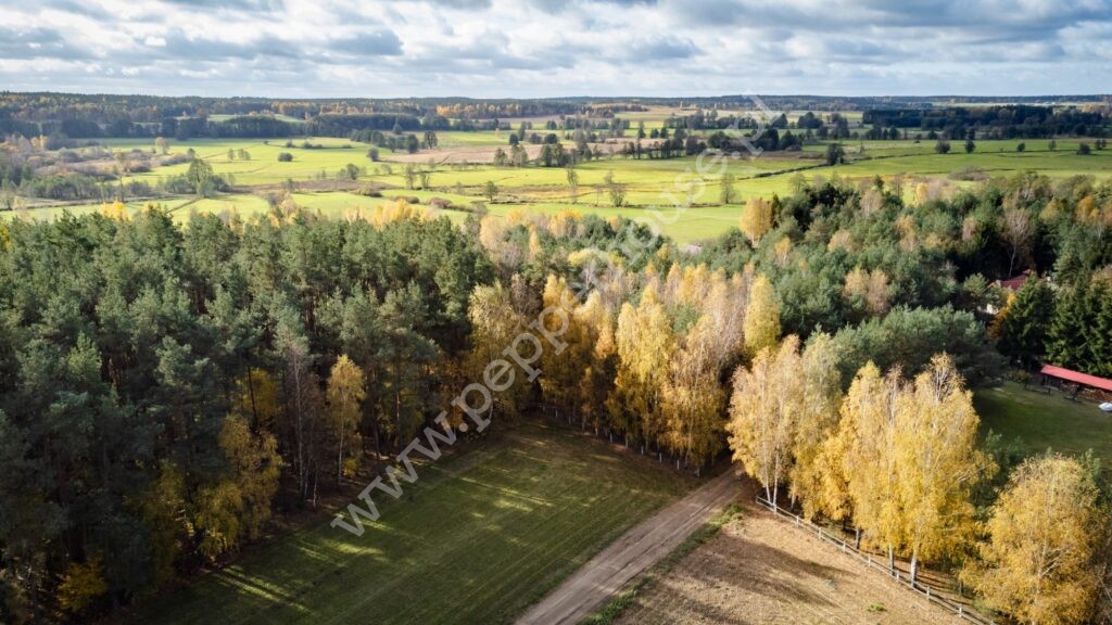 Działka na sprzedaż, pomorskie, Pałubin - zdjęcie ofertowe nr 7