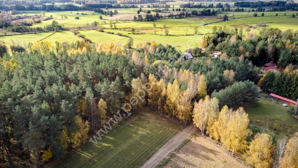 Działka na sprzedaż, pomorskie, Pałubin - zdjęcie ofertowe nr 8