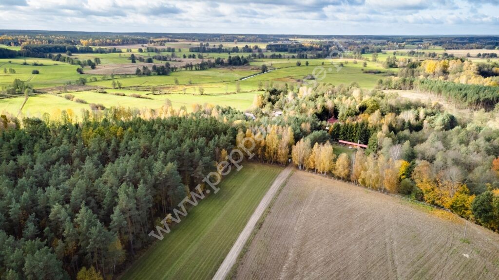 Działka na sprzedaż, pomorskie, Pałubin - zdjęcie ofertowe nr 9