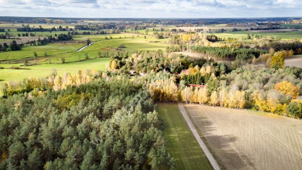 Działka na sprzedaż, pomorskie, Pałubin - zdjęcie ofertowe nr 10