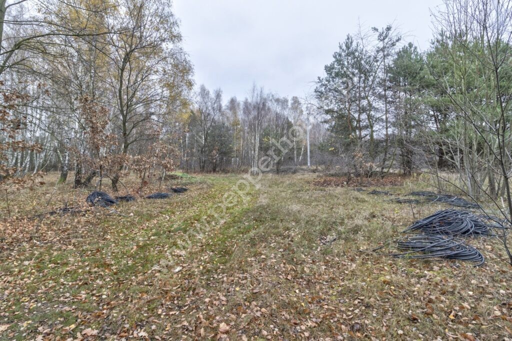 Dom na sprzedaż, mazowieckie, Budy Michałowskie, Cedrowa - zdjęcie ofertowe nr 9