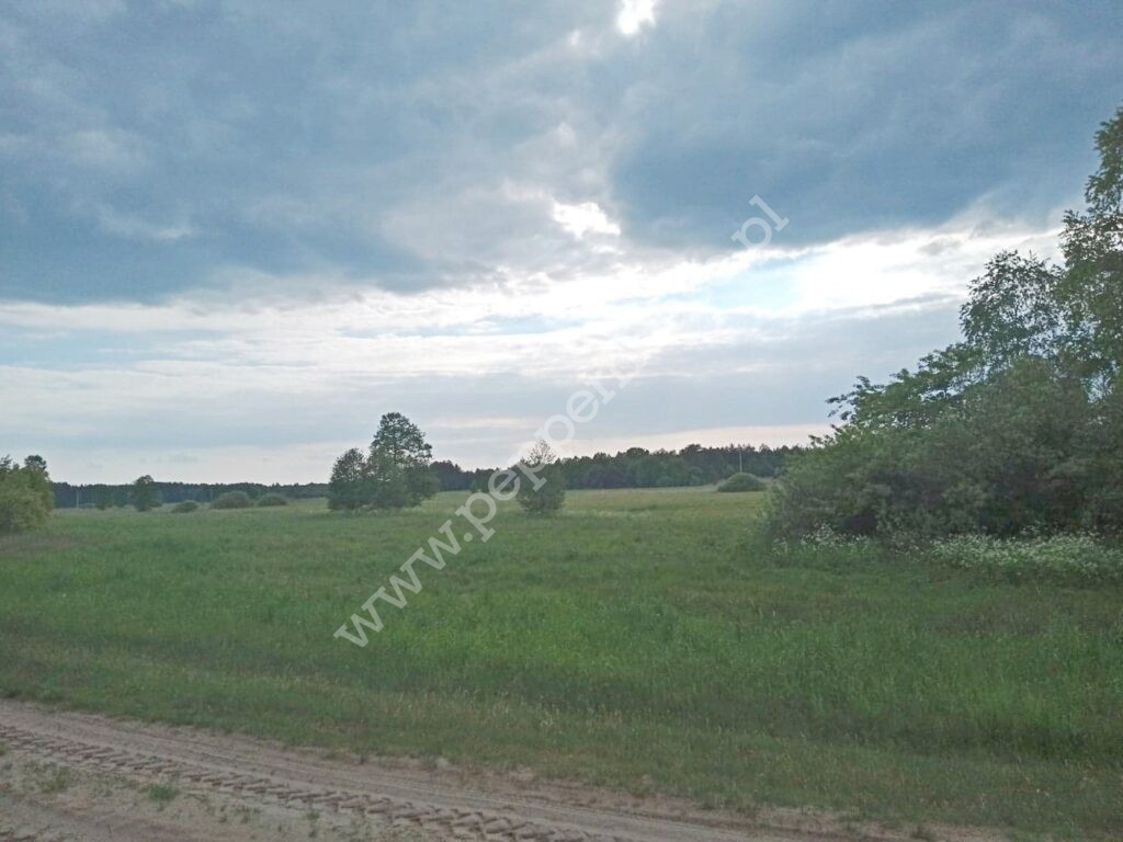 , kujawsko-pomorskie, Legbąd, Łąkowa - listing photo no. 1