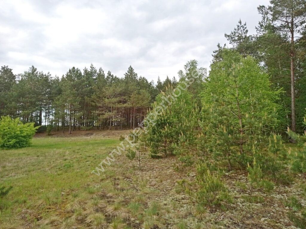 , kujawsko-pomorskie, Legbąd, Łąkowa - listing photo no. 2