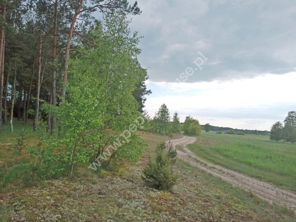 , kujawsko-pomorskie, Legbąd, Łąkowa - listing photo no. 3