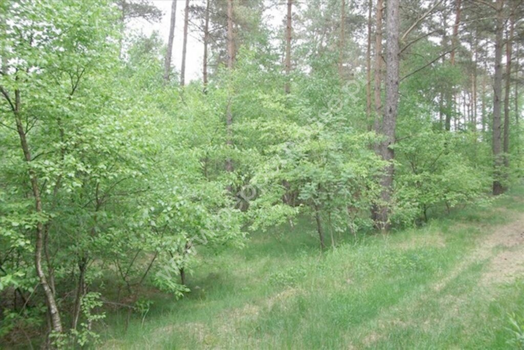 , kujawsko-pomorskie, Legbąd, Szkolna - listing photo no. 1
