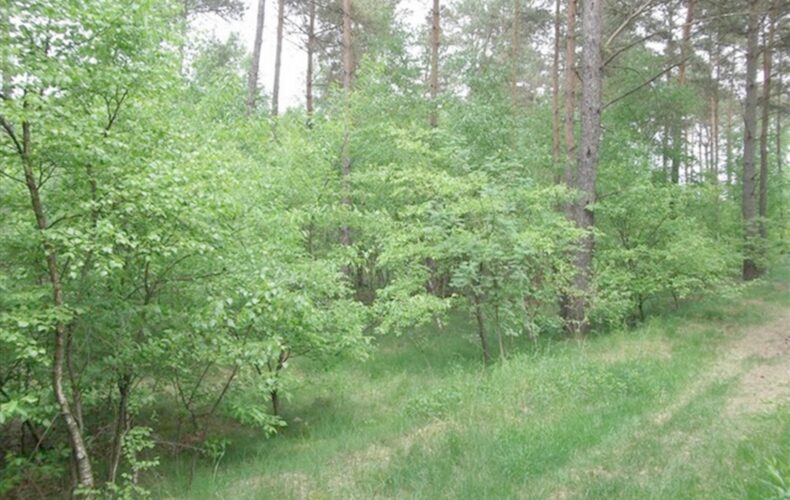 , kujawsko-pomorskie, Legbąd, Szkolna
