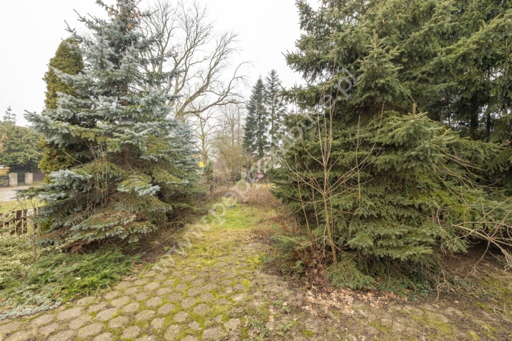 , pomorskie, Kmiecin, Żuławska - listing photo no. 4