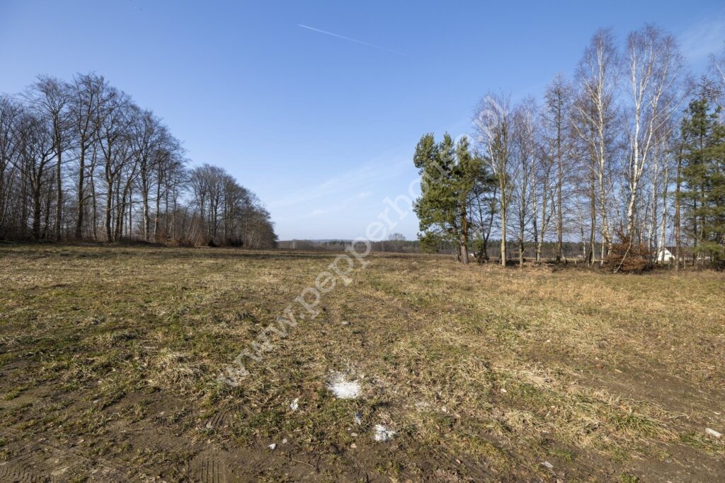 Dom na sprzedaż, pomorskie, Żuławka, Spacerowa - zdjęcie ofertowe nr 9