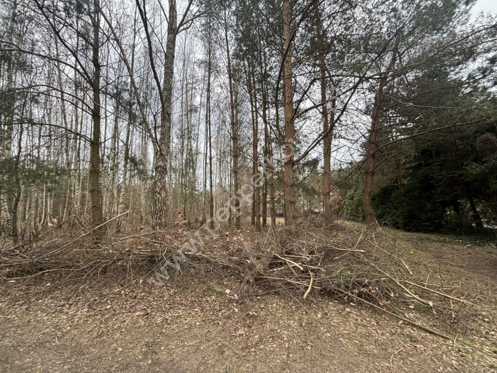Działka na sprzedaż, kujawsko-pomorskie, Nowy Jasiniec - zdjęcie ofertowe nr 3