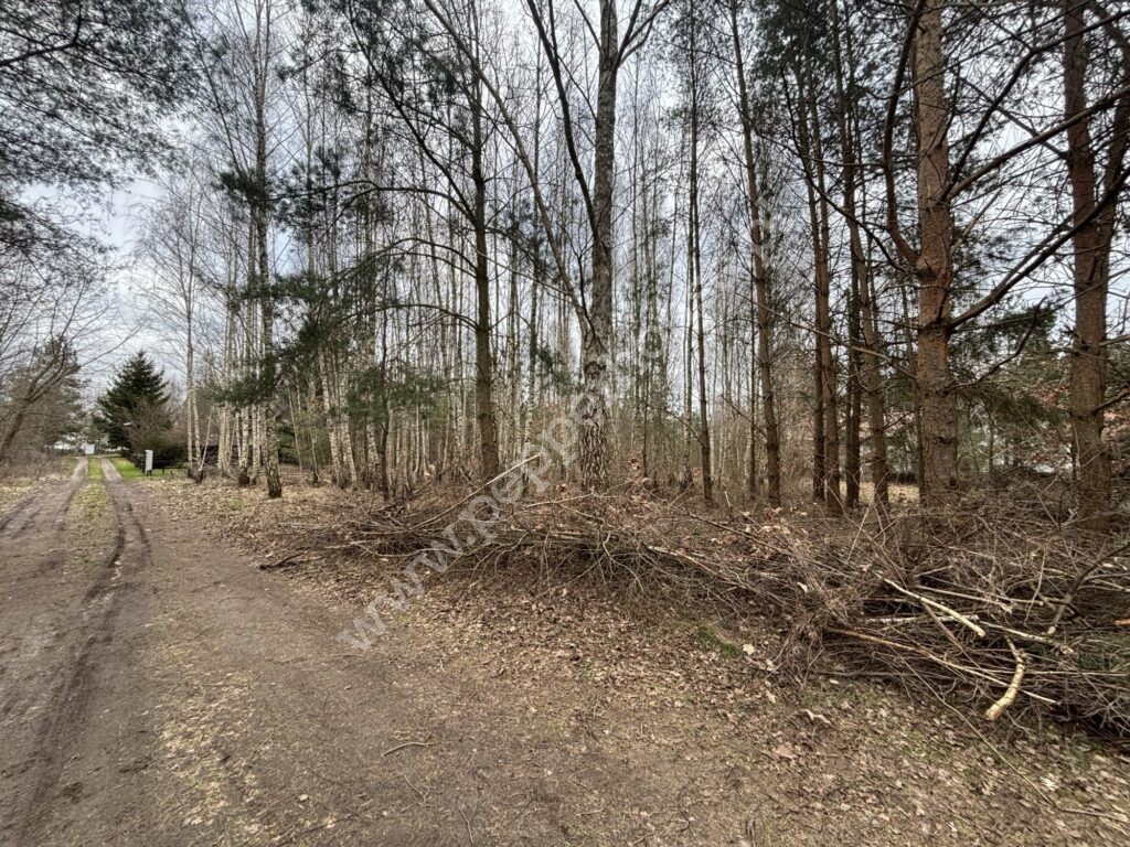 Działka na sprzedaż, kujawsko-pomorskie, Nowy Jasiniec - zdjęcie ofertowe nr 4