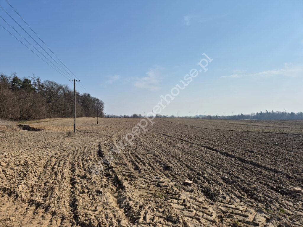 Działka na sprzedaż, pomorskie, Wielbark - zdjęcie ofertowe nr 4