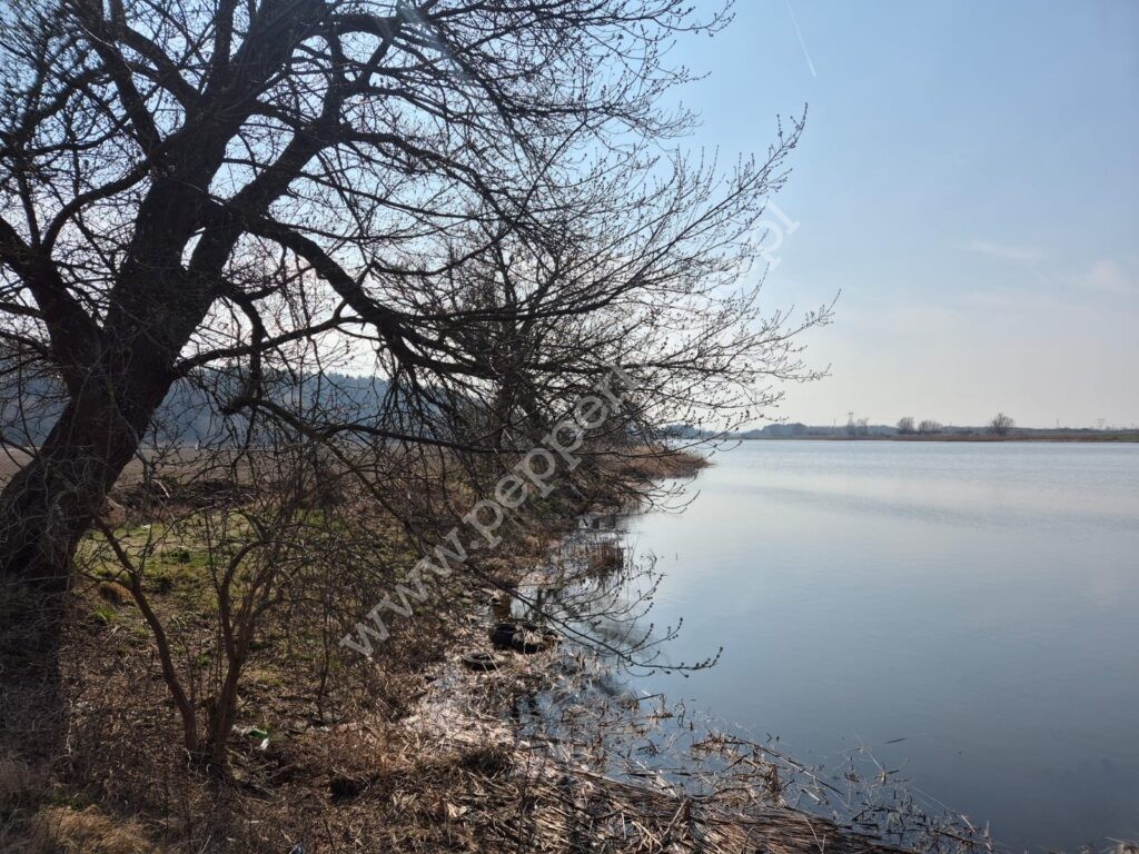 Działka na sprzedaż, pomorskie, Wielbark - zdjęcie ofertowe nr 1