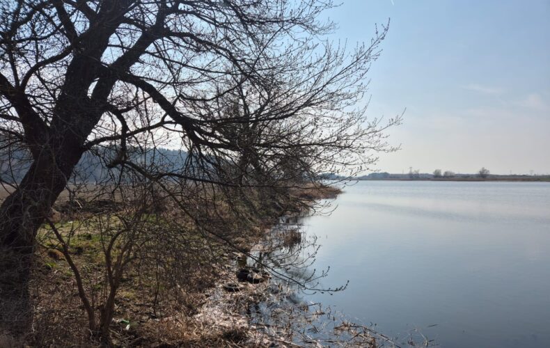 Działka na sprzedaż, pomorskie, Wielbark
