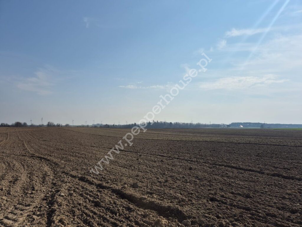 Działka na sprzedaż, pomorskie, Wielbark - zdjęcie ofertowe nr 5