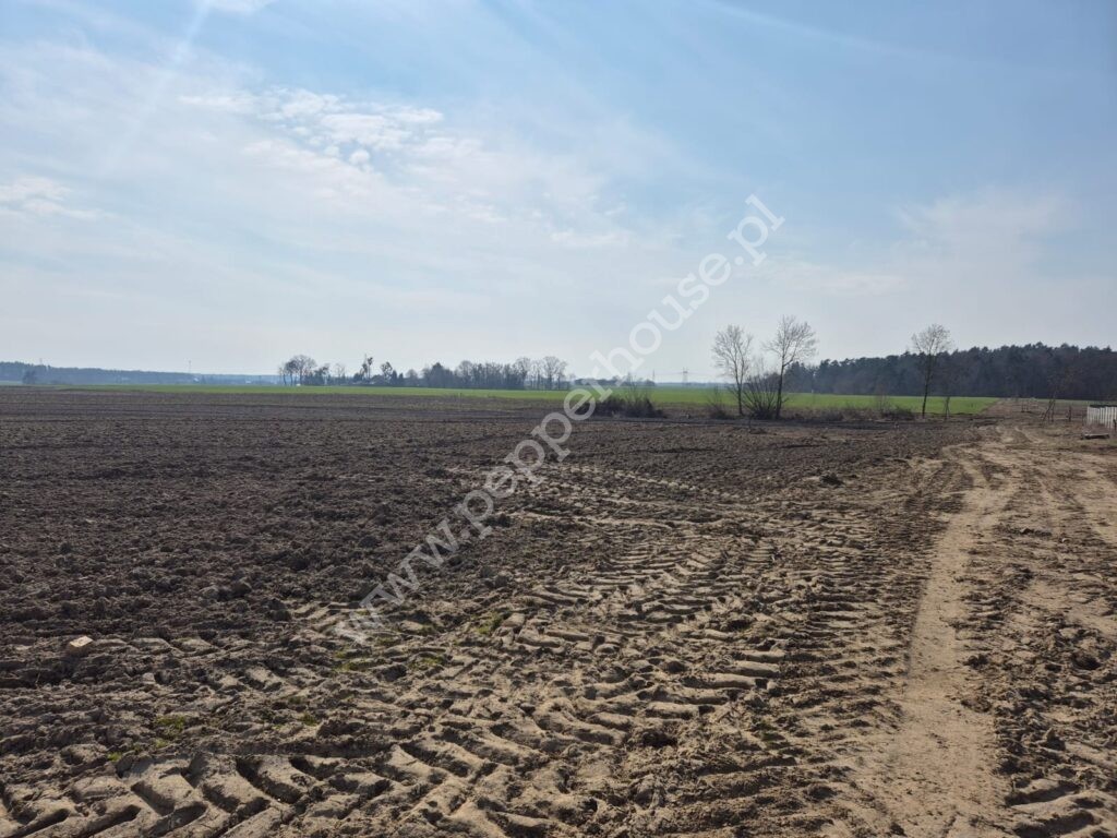 Działka na sprzedaż, pomorskie, Wielbark - zdjęcie ofertowe nr 6