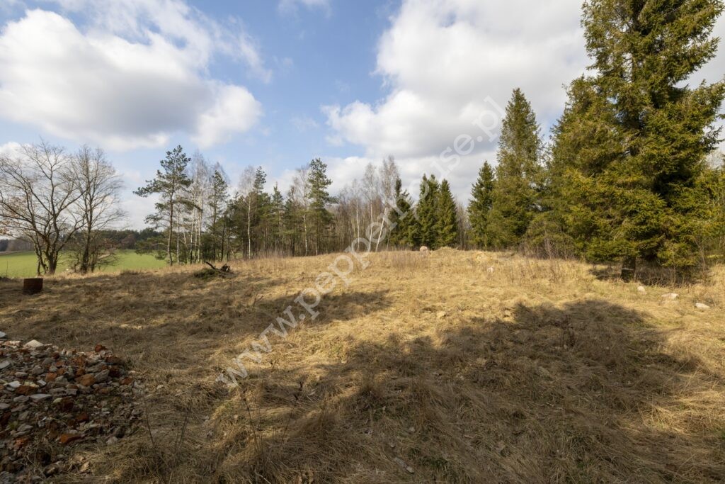 Działka na sprzedaż, pomorskie, Skrzeszewo - zdjęcie ofertowe nr 1