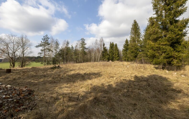 Działka na sprzedaż, pomorskie, Skrzeszewo