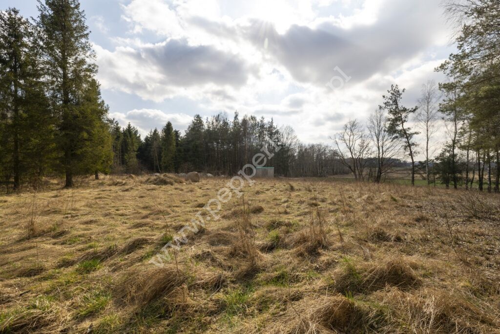 Działka na sprzedaż, pomorskie, Skrzeszewo - zdjęcie ofertowe nr 6