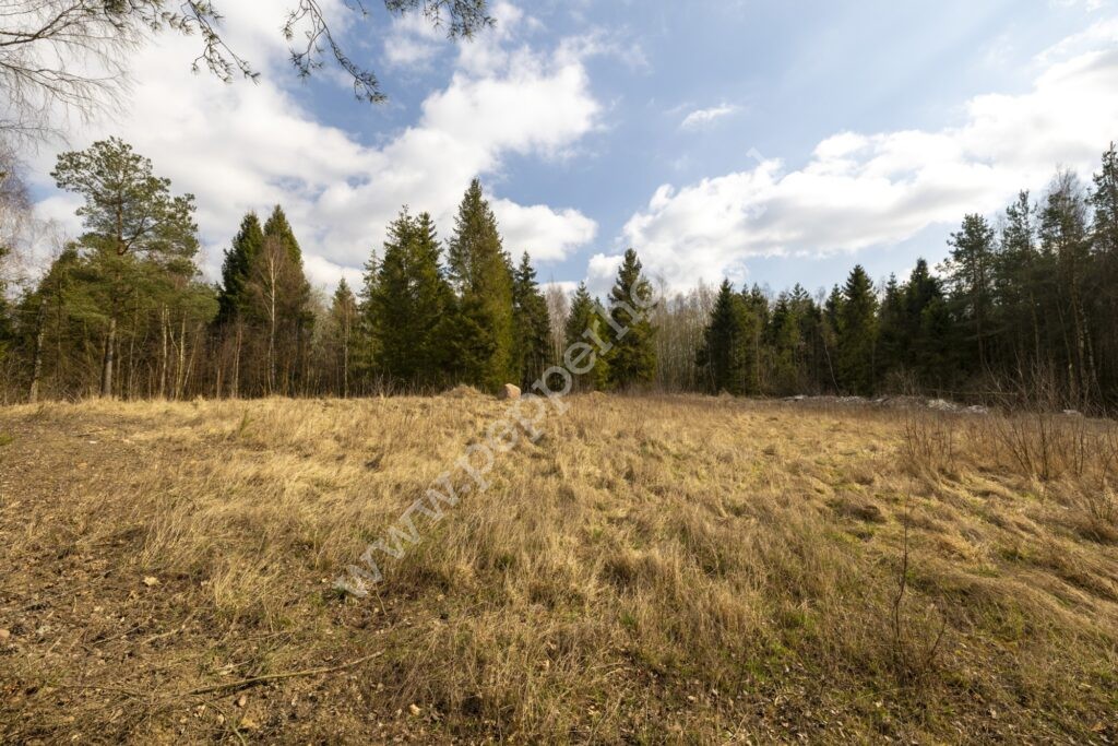 Działka na sprzedaż, pomorskie, Skrzeszewo - zdjęcie ofertowe nr 7