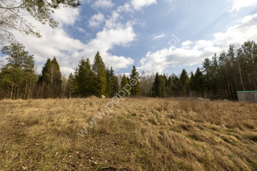Działka na sprzedaż, pomorskie, Skrzeszewo - zdjęcie ofertowe nr 9