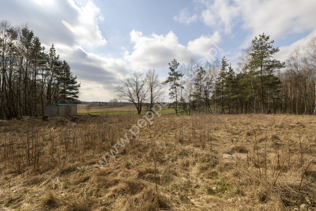 Działka na sprzedaż, pomorskie, Skrzeszewo - zdjęcie ofertowe nr 11