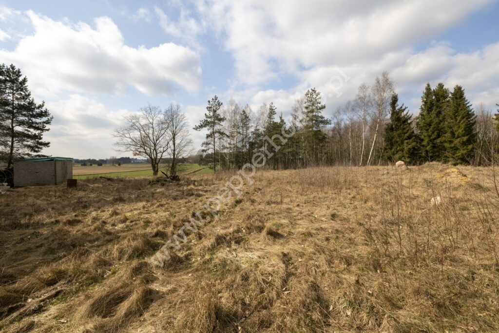 Działka na sprzedaż, pomorskie, Skrzeszewo - zdjęcie ofertowe nr 12