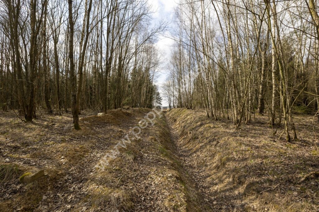 Działka na sprzedaż, pomorskie, Skrzeszewo - zdjęcie ofertowe nr 14