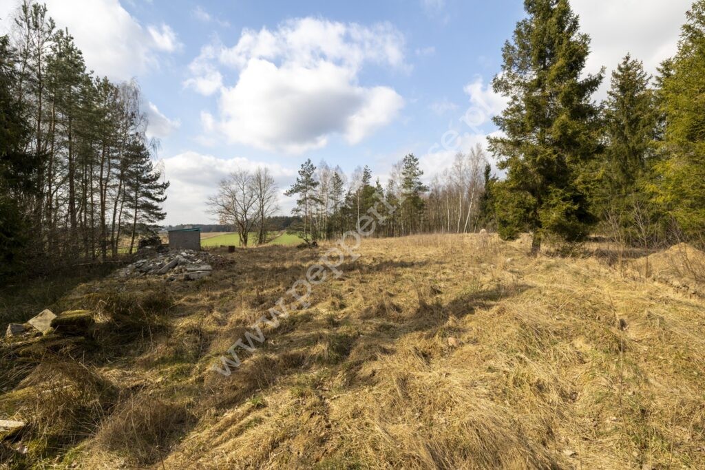 Działka na sprzedaż, pomorskie, Skrzeszewo - zdjęcie ofertowe nr 8