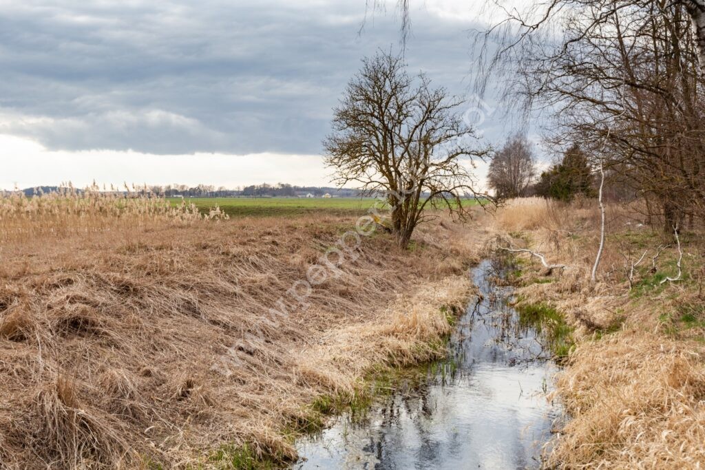 Działka na sprzedaż, warmińsko-mazurskie, Litwinki - zdjęcie ofertowe nr 21