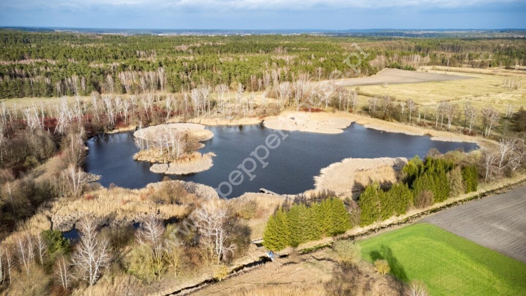 , warmińsko-mazurskie, Litwinki - listing photo no. 3