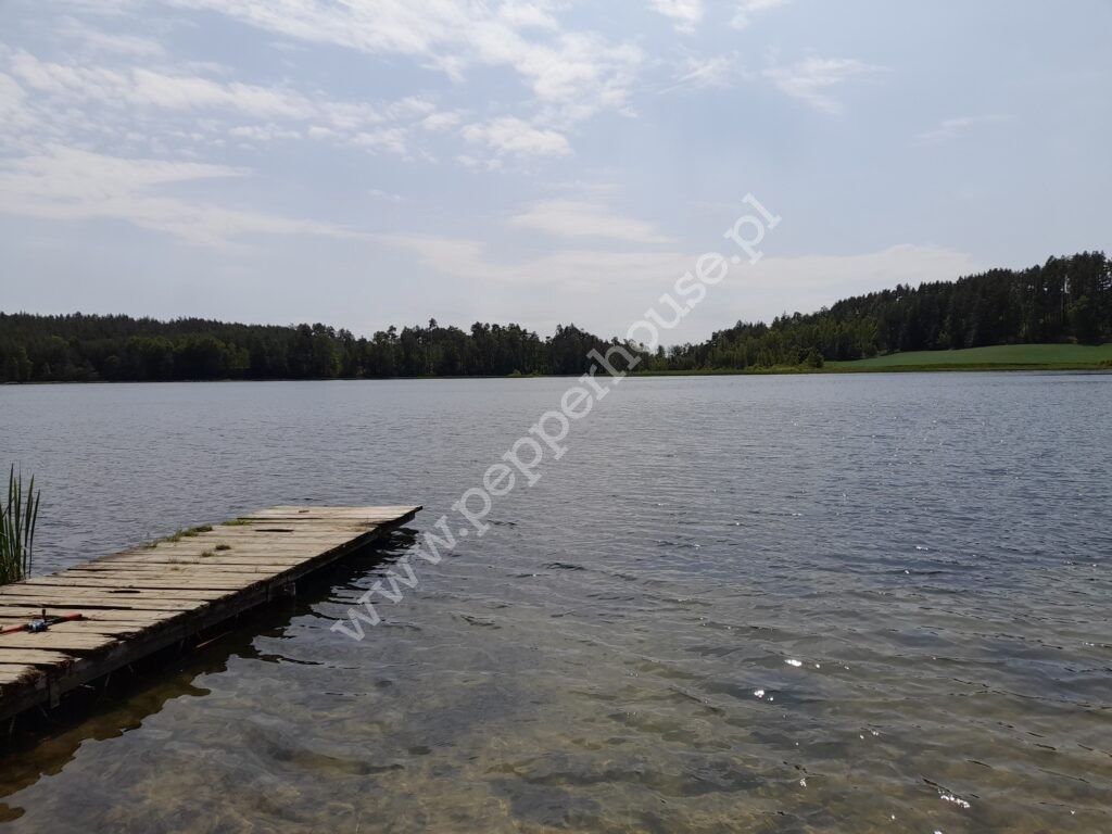 Dom na sprzedaż, pomorskie, Zdunowice - zdjęcie ofertowe nr 10