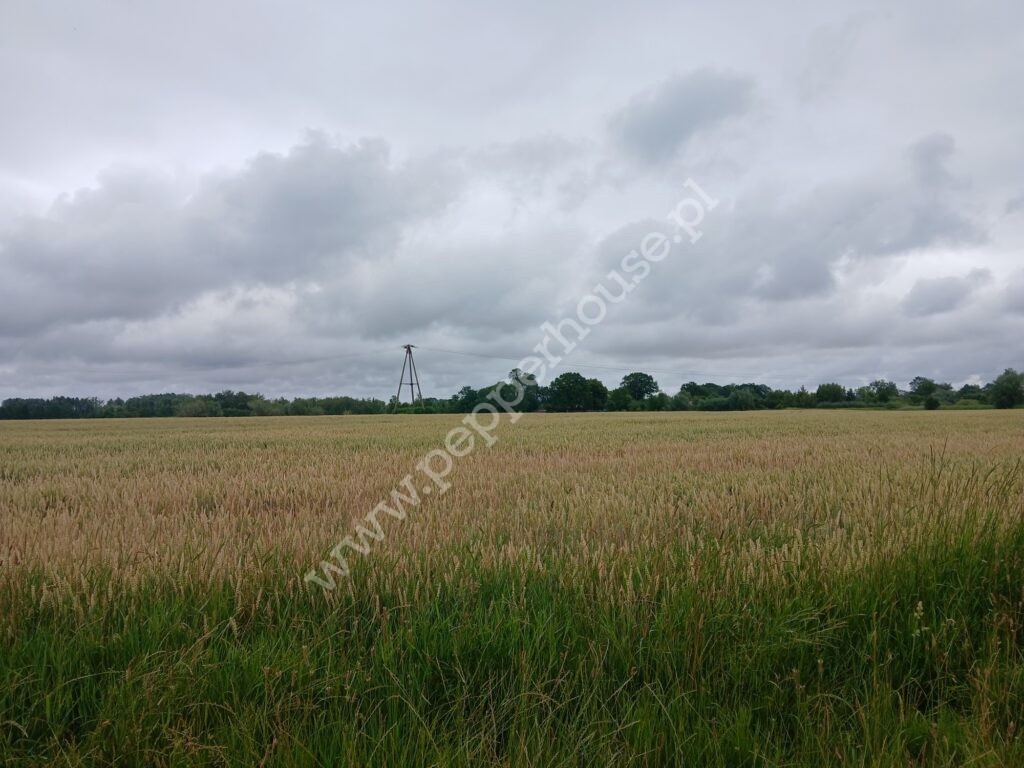 Działka na sprzedaż, pomorskie, Rybina - zdjęcie ofertowe nr 8
