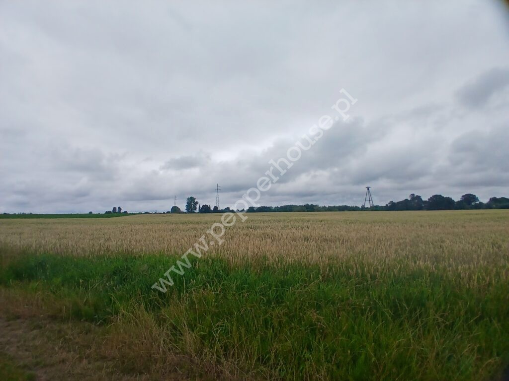 Działka na sprzedaż, pomorskie, Rybina - zdjęcie ofertowe nr 9