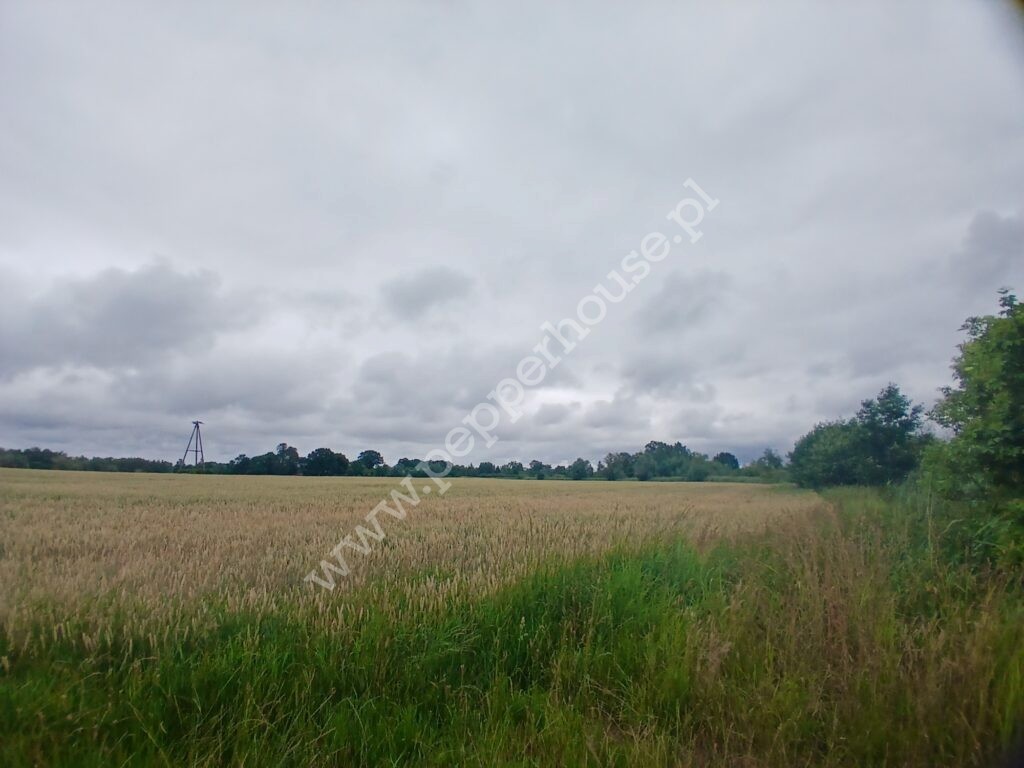 Działka na sprzedaż, pomorskie, Rybina - zdjęcie ofertowe nr 10