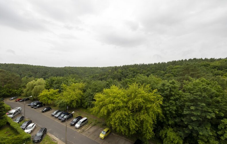 Mieszkanie na sprzedaż, Gdańsk, Niedźwiednik, Góralska