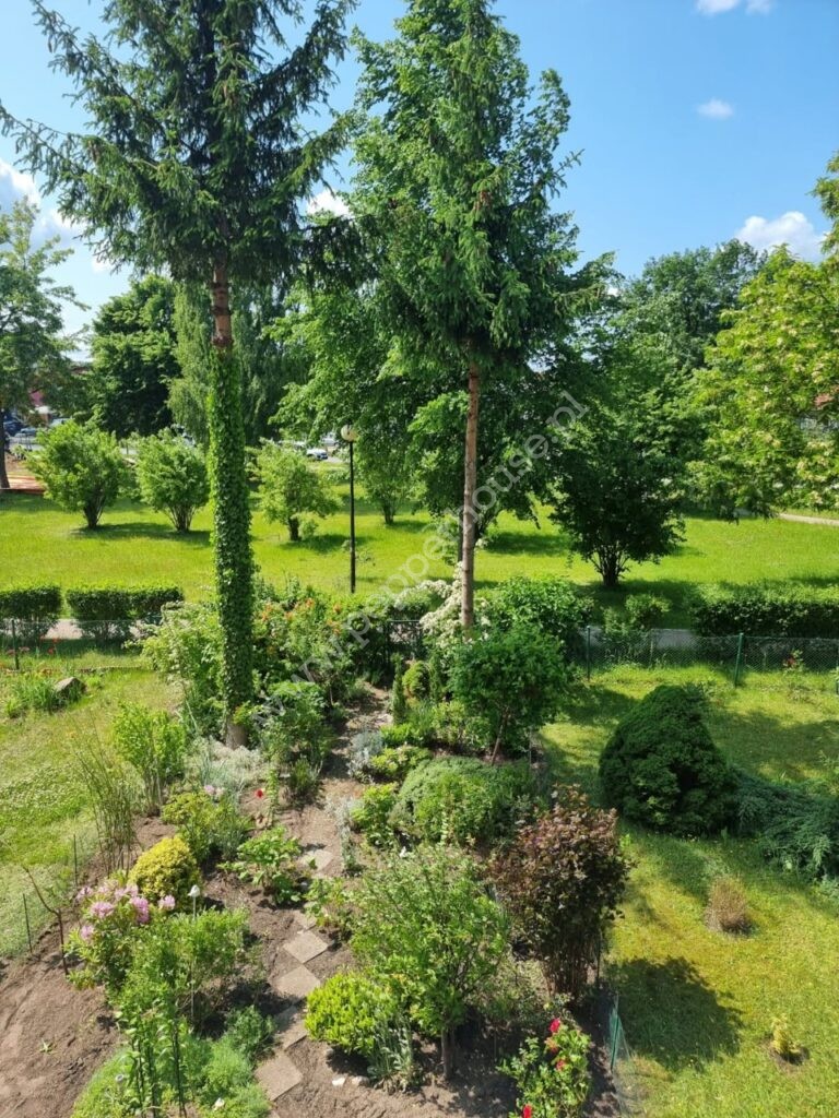 , pomorskie, Rumia, Gdańska - listing photo no. 1