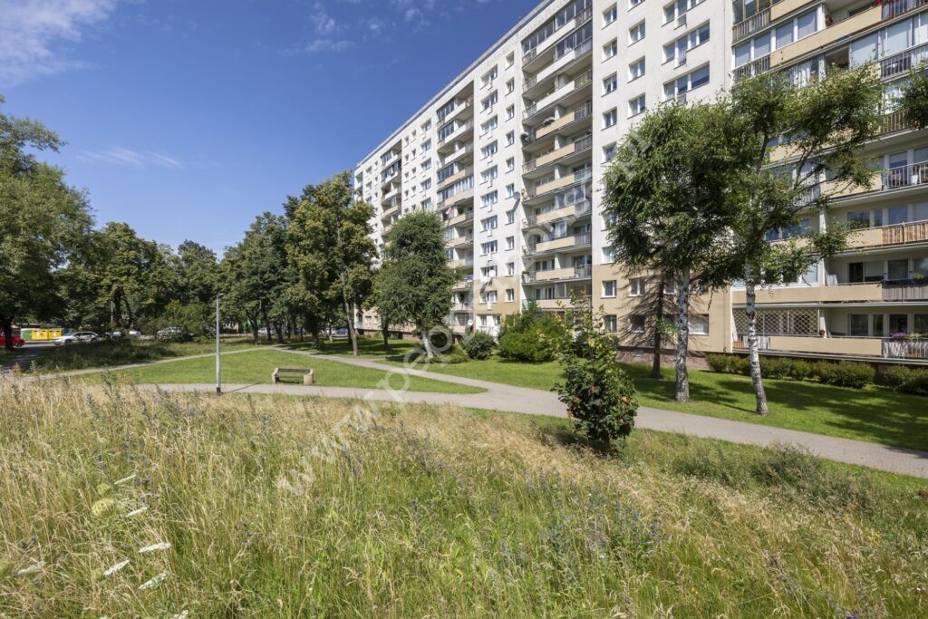 Mieszkanie na sprzedaż, Gdańsk, Żabianka, Gospody - zdjęcie ofertowe nr 7